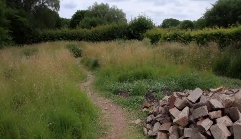 Before — Wildflower Meadow