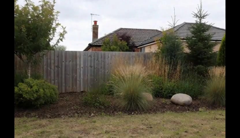 Before — Commercial Grounds Upgrade