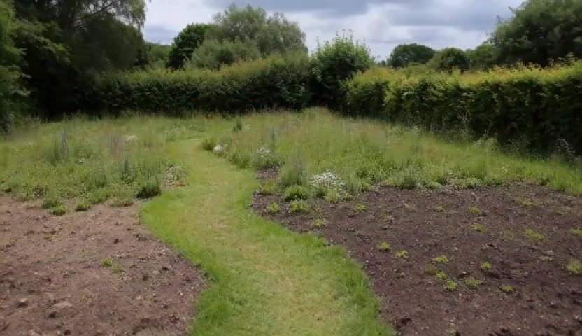 Structural & Seasonal Planting image 1